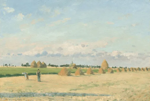 cover-image