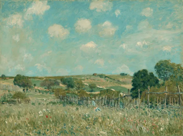 cover-image
