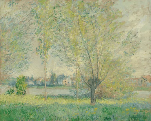 cover-image